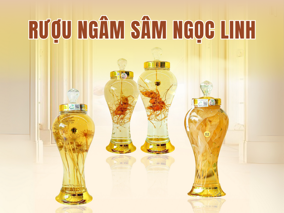 rượu s&acirc;m ngọc linh c&oacute; t&aacute;c dụng g&igrave;